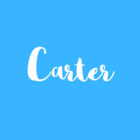 D. L. Carter LLC